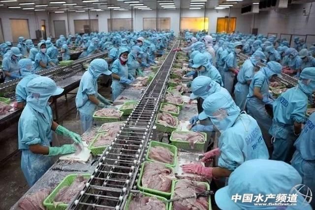 塑料化糞池安裝全過程詳解，從選址到驗收的完整指南，塑料化糞池安裝全流程，從選址到驗收的詳細步驟指南
