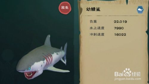 鯊魚飼料選擇與搭配，《創(chuàng)造與魔法》鯊魚飼料選擇與搭配方案，鯊魚飼料選擇與搭配方案