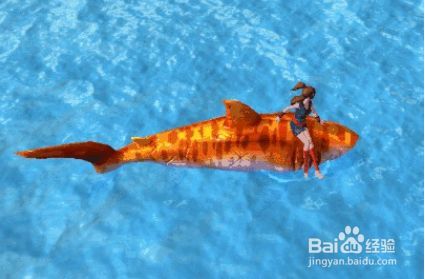 鯊魚飼料選擇與搭配，《創(chuàng)造與魔法》鯊魚飼料選擇與搭配方案，鯊魚飼料選擇與搭配方案