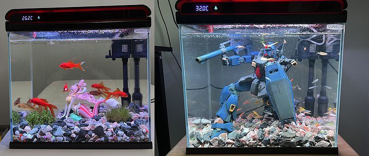 桌面魚缸，桌面魚缸適合養什么魚