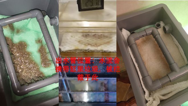 魚缸濾材順序圖：如何判斷魚缸濾材是否失效，魚缸濾材品牌推薦，自制魚缸濾材方法