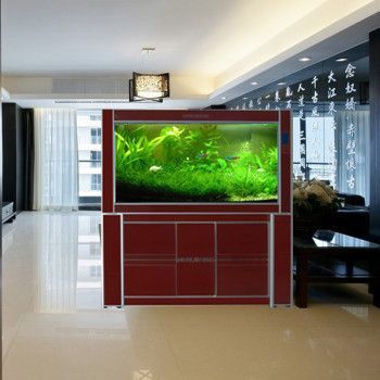 龍魚缸哪個牌子好用一點又實惠，龍魚缸品牌有哪些 龍魚缸哪個牌子好用一點又實惠，龍魚缸品牌有哪些 魚缸百科 第4張