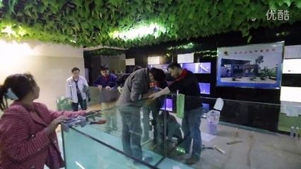 魟魚繁殖缸制作費(fèi)用大概多少錢：魟魚繁殖缸制作費(fèi)用