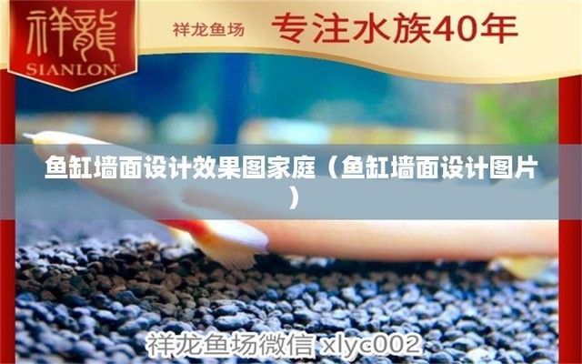 金龍魚魚缸背景墻效果圖，金龍魚魚缸背景墻效果圖魚缸與書墻結合設計案例詳解