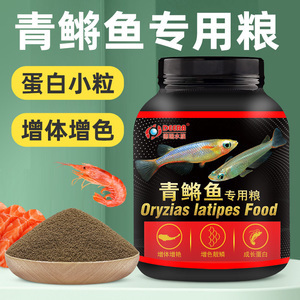 最小的紅龍魚苗多少錢一條啊圖片大全：探尋最小紅龍魚苗價格及背后奧秘