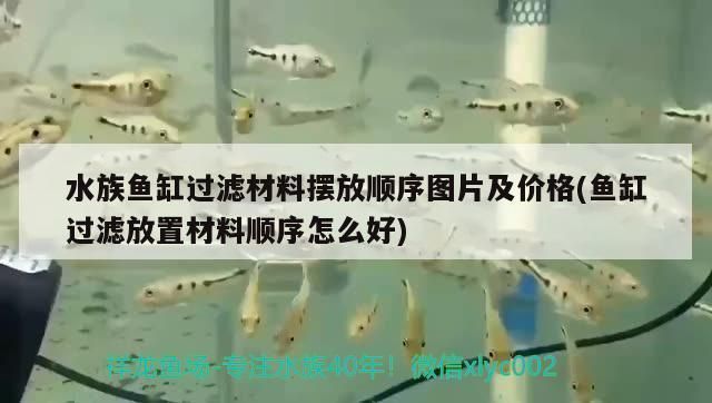 金龍魚魚缸過濾材料擺放順序，金龍魚魚缸的過濾材料擺放順序