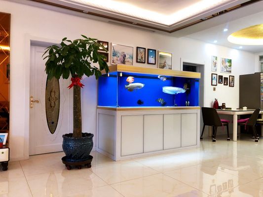 龍魚和元寶鳳凰混養好不好：龍魚和元寶鳳凰混養合適嗎