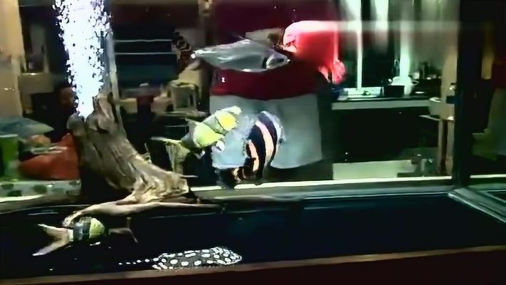 龍魚缸過濾系統圖，龍魚缸過濾系統圖是用于維護和清潔龍魚缸的一套詳細圖紙