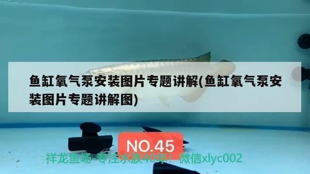 魚缸氧氣泵安裝圖片 原理圖，魚缸氧氣泵故障排除技巧如何選擇合適氧氣泵魚缸增氧設備