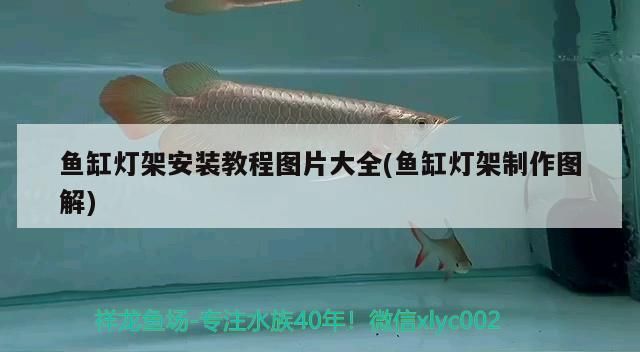 魚缸燈架安裝教程圖片大全(魚缸燈架制作圖解)