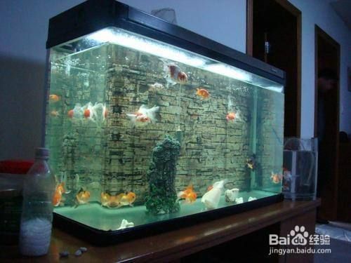 初迪魚缸水泵安裝視頻大全，初迪魚缸水泵常見故障及解決方法如何選擇適合魚缸水泵維護保養(yǎng)技巧