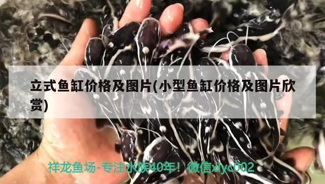 四紋虎魚食物資源分布，四紋虎魚的食物資源分布情況