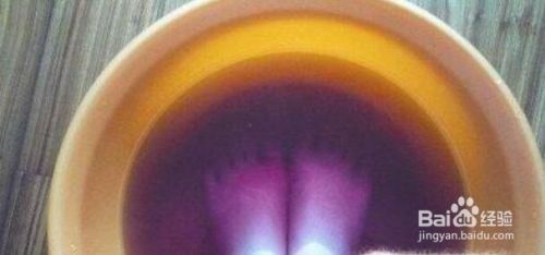 最稀有的雷龍魚是什么：探秘最稀有的雷龍魚，水中珍奇異獸的神秘面紗