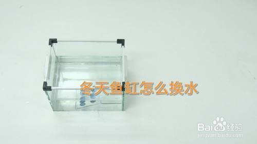 魚缸要換水嗎？，如何判斷魚缸水質好壞？