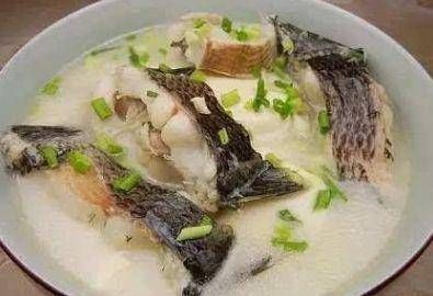 黑云魚混養食物營養搭配，黑云魚混養常見疾病預防黑云魚食物營養均衡指南