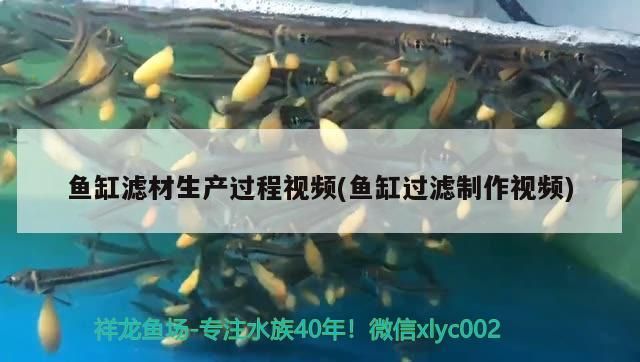 魚(yú)缸濾材生產(chǎn)過(guò)程視頻(魚(yú)缸過(guò)濾制作視頻)