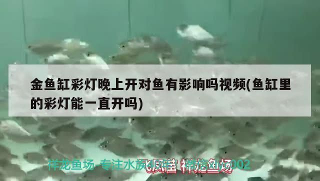 雷龍魚缸燈光一直開著行嗎，雷龍魚缸燈光一直開著可行嗎