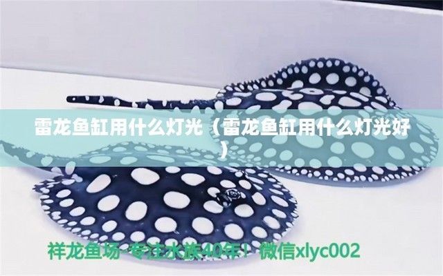 雷龍魚缸燈光一直開著行嗎，雷龍魚缸燈光一直開著可行嗎