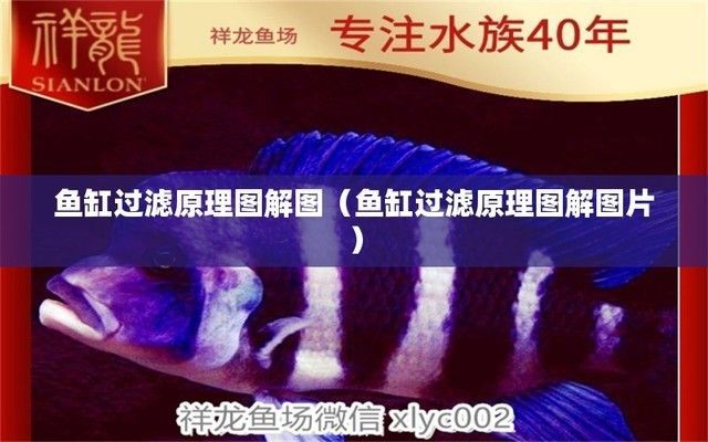 半圓魚缸過濾示意圖，半圓魚缸過濾器安裝教程