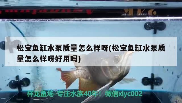 閑魚網(wǎng)站二手魚缸出售信息網(wǎng)（二手交易平臺(tái)魚缸）