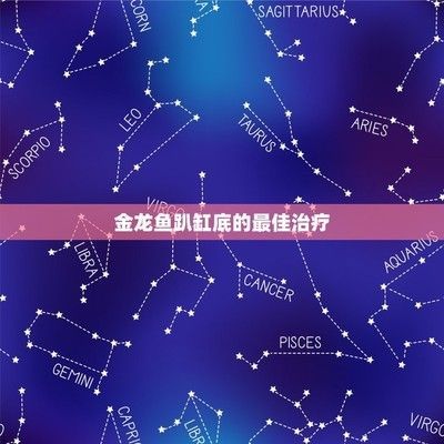 金龍魚在魚缸底下趴著不動了，金龍魚在魚缸底部趴著不動可能是由于多種原因引起的