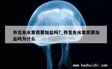 龍魚缸ph6.0正常嗎，龍魚缸ph值6.0是否正常
