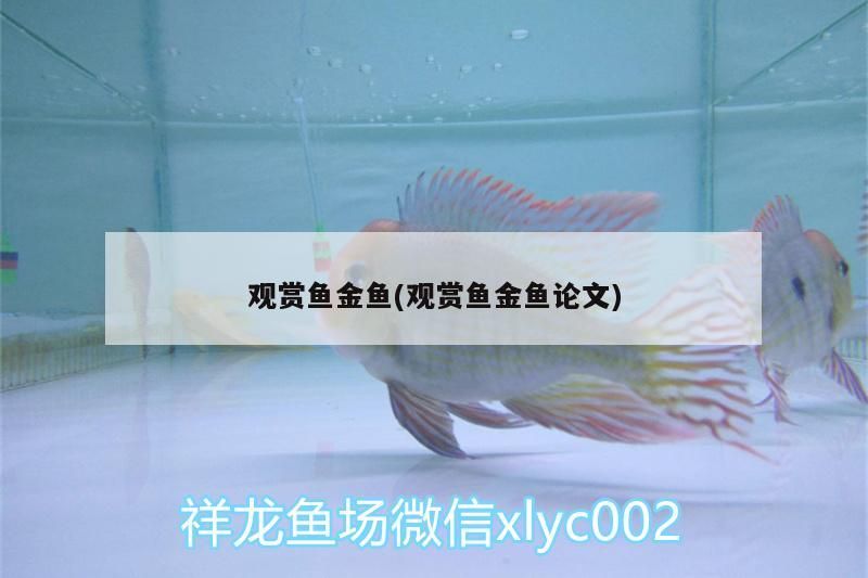 魚缸怎么運回家（魚缸怎么帶回家）