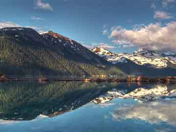 龍魚不吃東西能活多久