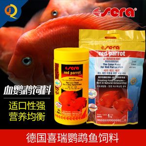 紅龍魚和元寶鳳凰混養可以嗎(寶藍鳳凰魚能混養嗎) 紅龍魚和元寶鳳凰混養可以嗎(寶藍鳳凰魚能混養嗎) 元寶鳳凰魚百科 第2張