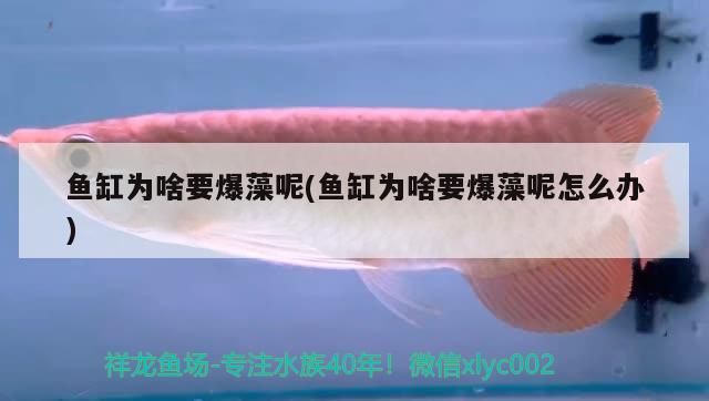 杭州魚缸批發市場在哪里啊多少錢一條 杭州做魚缸的商家