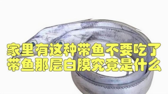 魟魚表面白色膜狀物是什么東西啊：魟魚身上出現白色膜狀物是什么原因[需手動填充]魚表面白色膜狀物是什么東西