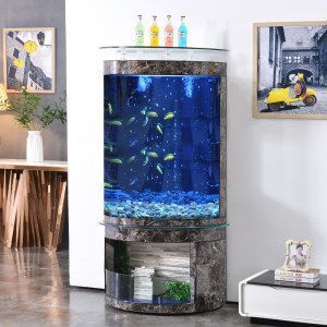 金龍魚魚缸價格多少錢一個啊，金龍魚魚缸價格 金龍魚魚缸價格多少錢一個啊，金龍魚魚缸價格 魚缸百科 第4張