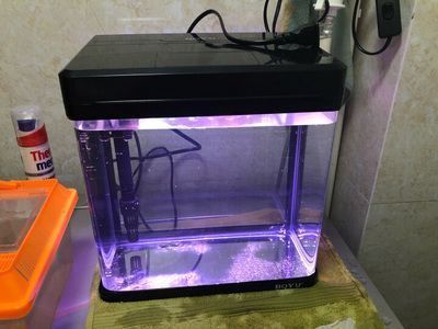 金龍魚魚缸價格多少錢一個啊，金龍魚魚缸價格 金龍魚魚缸價格多少錢一個啊，金龍魚魚缸價格 魚缸百科 第5張