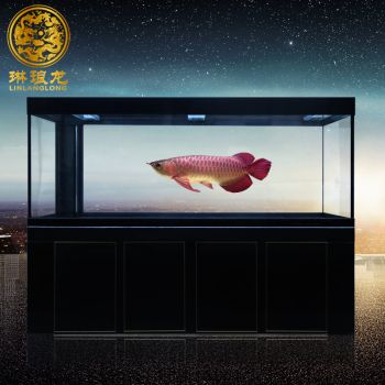 龍魚缸的最佳尺寸長寬高是多少，龍魚缸最佳尺寸建議，龍魚缸的長度至少是90厘米 龍魚缸的最佳尺寸長寬高是多少，龍魚缸最佳尺寸建議，龍魚缸的長度至少是90厘米 魚缸百科 第6張