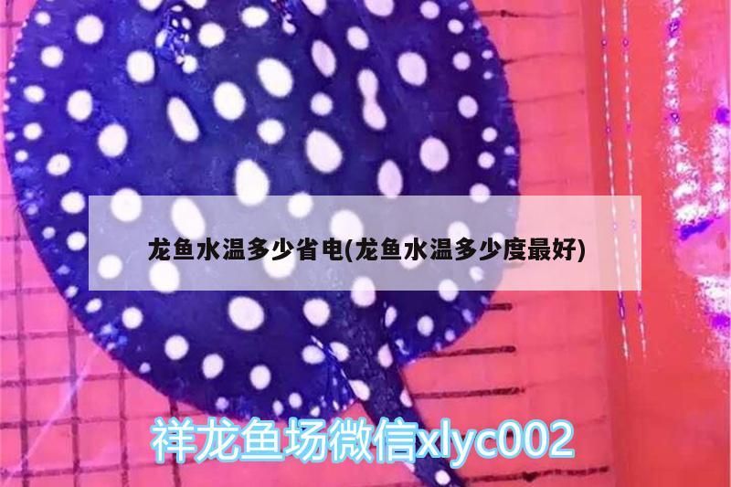 龍魚水溫多少省電(龍魚水溫多少度最好)