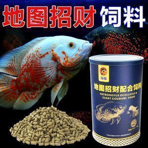 大湖龍魚好嗎能吃嗎：大湖龍魚的營養價值 大湖龍魚好嗎能吃嗎：大湖龍魚的營養價值 大湖紅龍魚百科 第6張