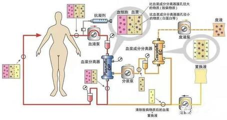 魚缸造景服務(wù)（做水族造景的怎么跑業(yè)務(wù)） 魚缸造景服務(wù)（做水族造景的怎么跑業(yè)務(wù)） 錦鯉魚百科 第2張