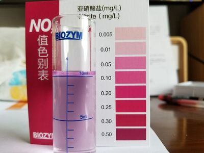 龍魚燈放在什么位置好（龍魚燈應該放在哪個角落才能最大化其裝飾效果？）