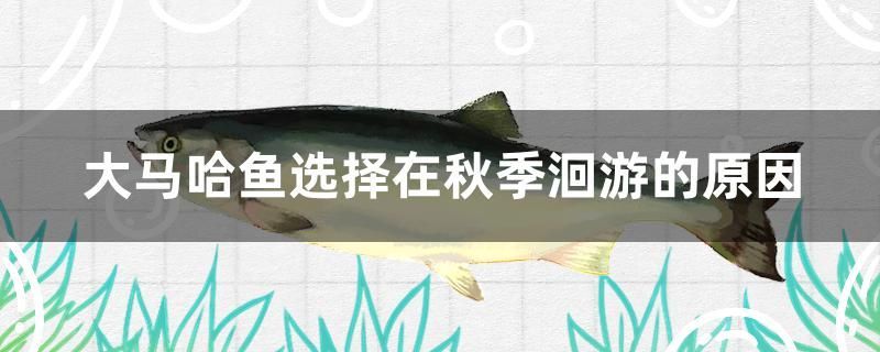 養(yǎng)魚魚缸（ 養(yǎng)魚魚缸放在客廳一進(jìn)門就看的到可以嗎）