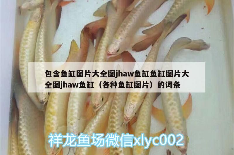 包含魚缸圖片大全圖jhaw魚缸魚缸圖片大全圖jhaw魚缸（各種魚缸圖片）的詞條