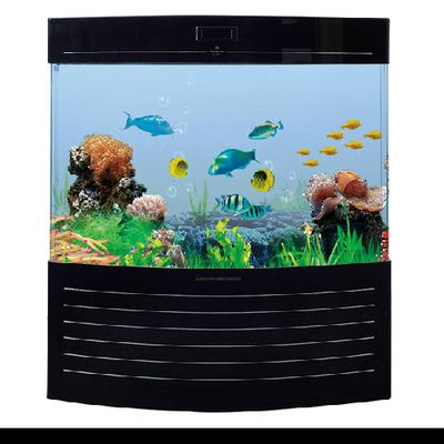 可麗愛魚缸型號與價格一樣嗎圖片對比，可麗愛魚缸內(nèi)部設(shè)置詳解亞克力魚缸與玻璃區(qū)別