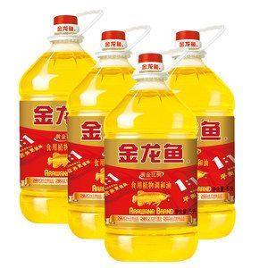 金龍魚黃金比例怎么樣 金龍魚黃金比例怎么樣 龍魚百科 第1張