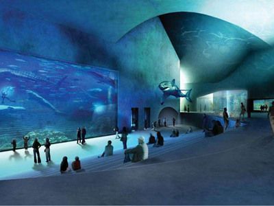 水族館是啥意思（上海海洋水族館特色展覽有哪些水族館對環(huán)保意識提升作用）