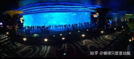 水族館是啥意思（上海海洋水族館特色展覽有哪些水族館對環(huán)保意識提升作用）