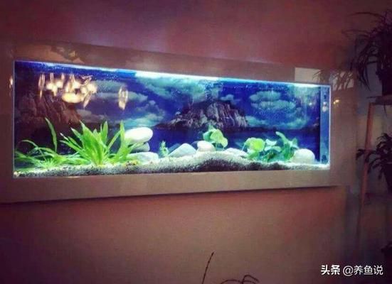 邯鄲魚缸定制廠家地址在哪里（ 邯鄲哪里有賣水缸的）