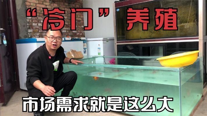 水族館利潤(rùn)率高嗎（如何提高水族館的利潤(rùn)率）