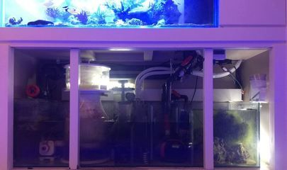 混養缸物理過濾器選擇指南，物理過濾器的選擇