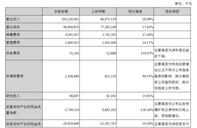 金龍魚財務狀況分析：金龍魚存貨管理策略探究,金龍魚財務風險應對措施