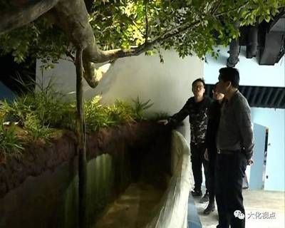 水族館建設方案（關于水族館建設方案的詳情）