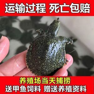 水族館建設(shè)與造景論文（水族館建設(shè)與造景）
